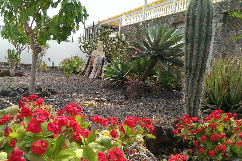 Apartamento Drago Apartment Costa Del Silencio Luaran gambar