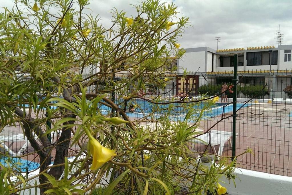 Apartamento Drago Apartment Costa Del Silencio Luaran gambar